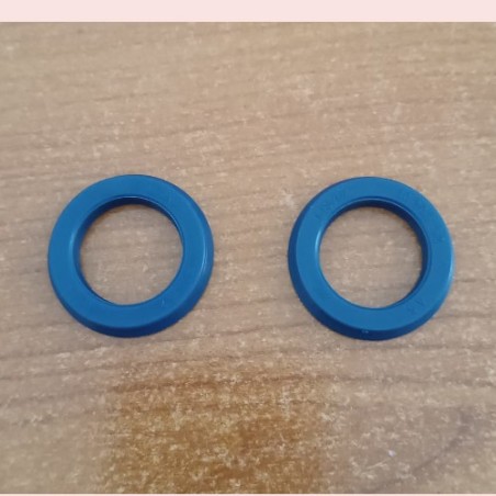 KIT DUE GUARNIZIONI A LABBRO LISAM CODICE X4060